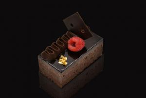 Chocolate Fudge - Cake Mono