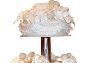 Wedding Cake 024
